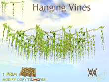FF. Ivy Hanging COPY by Wild Motley