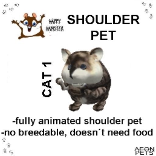 happy hamster cat1 shoulder