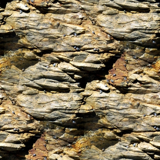 FULL PERM - SEAMLESS TEXTURE - Rock 13