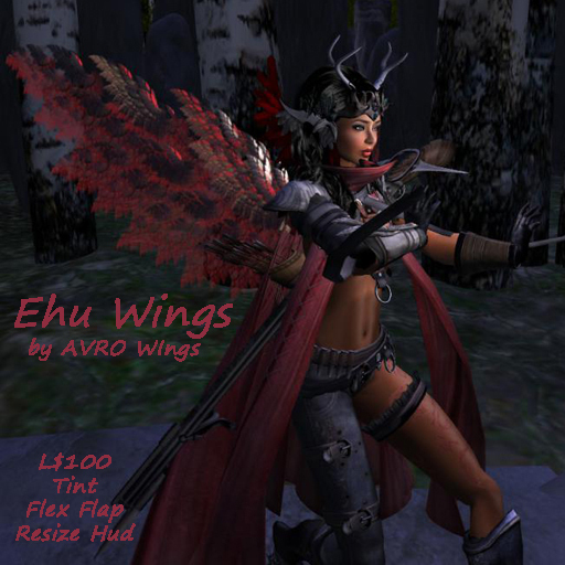EHU Wings E