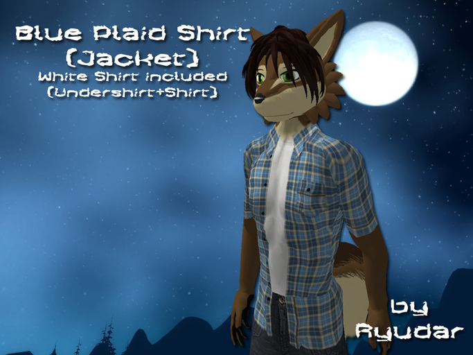 Blue Plaid Shirt