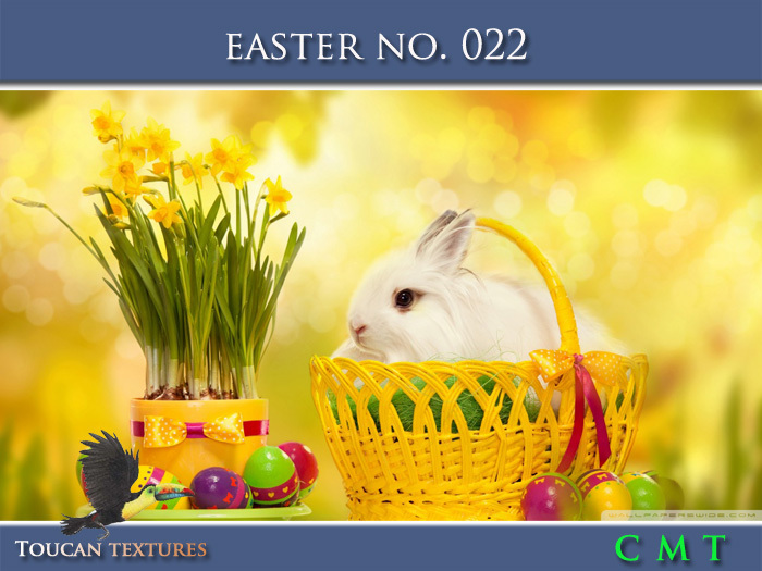 [Toucan Textures] Easter No. 022