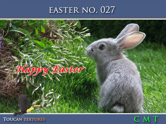 [Toucan Textures] Easter No. 027
