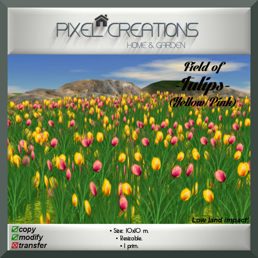 [PC] FIELD OF TULIPS - YELLOW/PINK (Boxed)