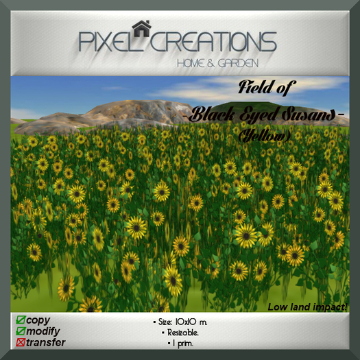[PC] FIELD OF BLACK EYED SUSANS - YELLOW (Boxed)