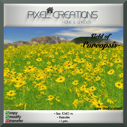 [PC] FIELD OF COREOPSIS (Boxed)