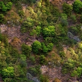 FULL PERM - SEAMLESS TEXTURE - Mountain 2 