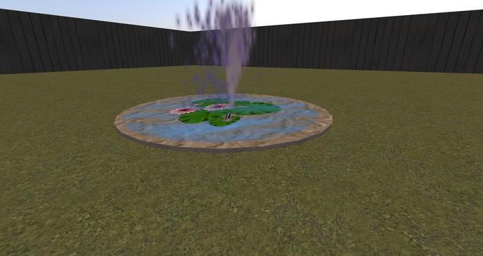 garden pond