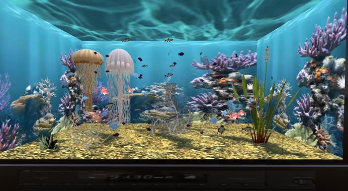 Fish Tank & Sterero