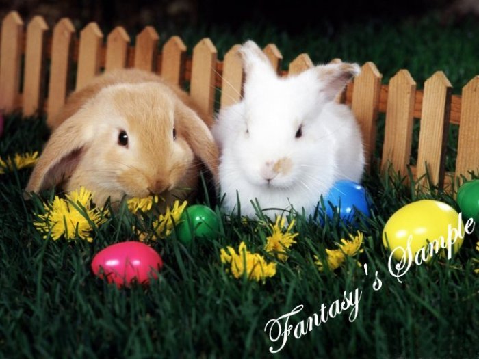 Tropical Paradise Art Picture -Full Perm (512 x 512) _Fantasy's