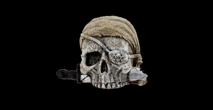 Pirate skull texture full perms