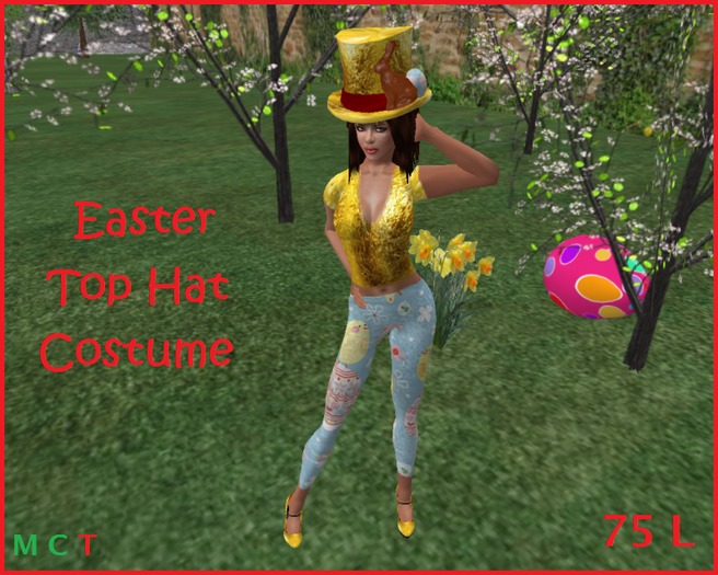 Pumpkin Witch Costume