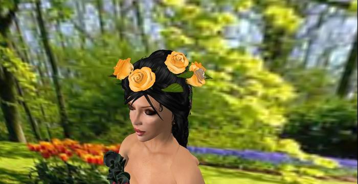Rose crown  Orange