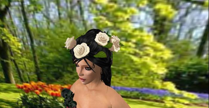 Rose crown  White