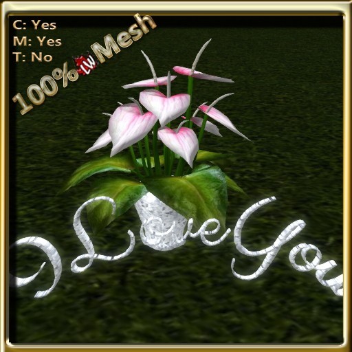 LW_AnthuriumILU_Pink