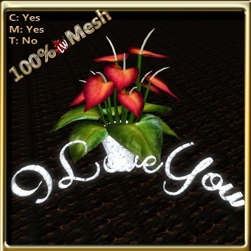 LW_AnthuriumILU_Orange1