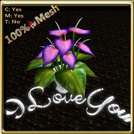 LW_AnthuriumILU_Purple2