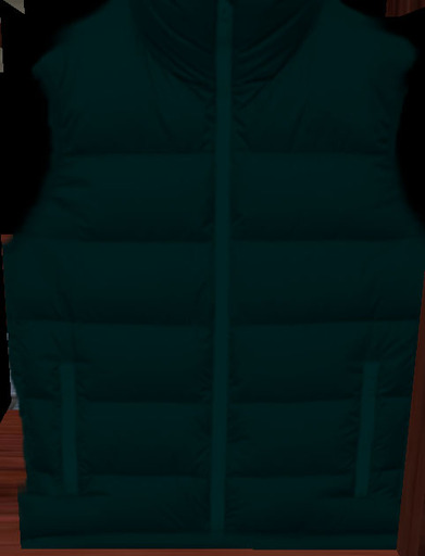 Jacket Dark Green vest