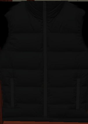 Jacket Black vest