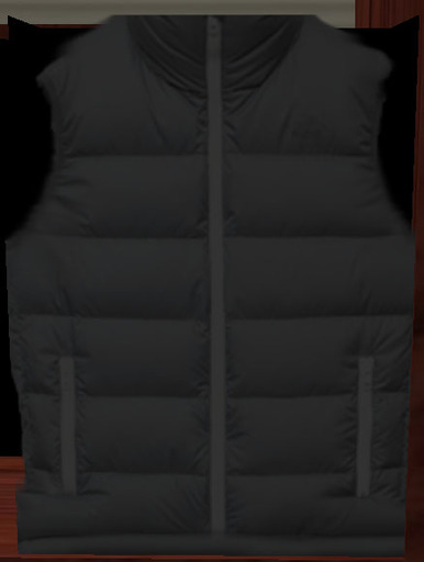 Jacket Grey vest