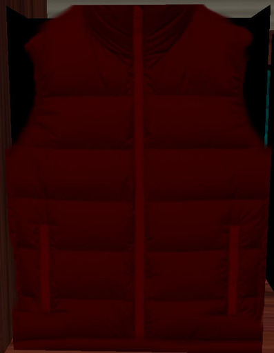 Jacket Red vest