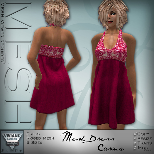 VF MESH Dress Carina