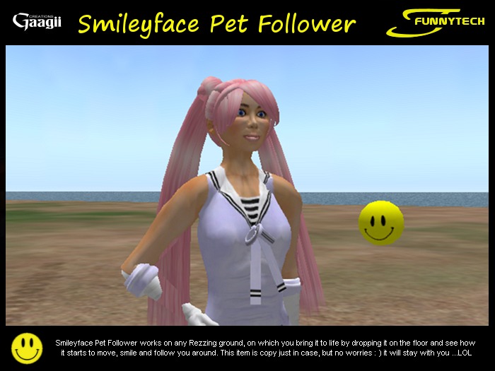 Gaagii - Smileyface Pet Follower