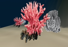 Mw Marine fish & coral textures full perms under sea scene