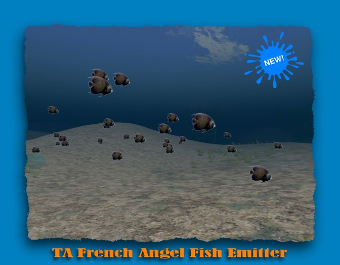TA French Angel Fish Emitter 2014 