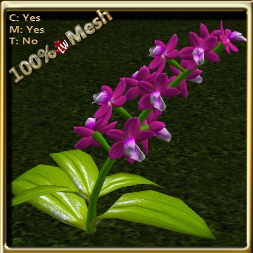 LW_OrchidPlantMesh_Pink2