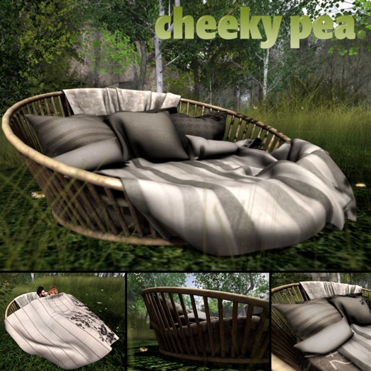 :CP: Shae Cosy (PG)