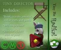 Tiny Director