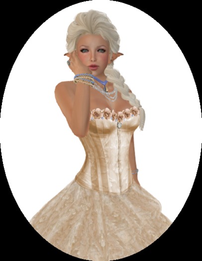 Belle Mesh  Corset Tops w/ Roses -Box