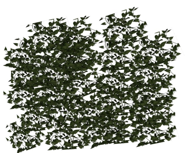 ivy plant mesh 1