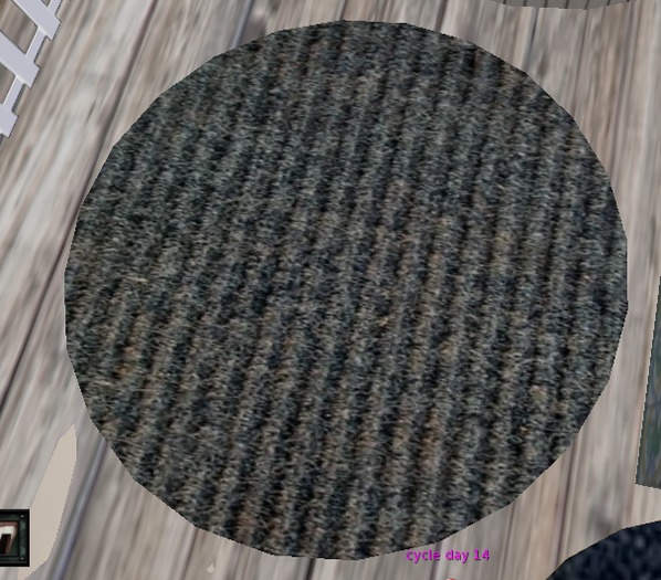 Rug 10