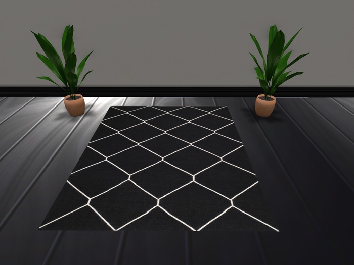 Black Ivory Rug 3