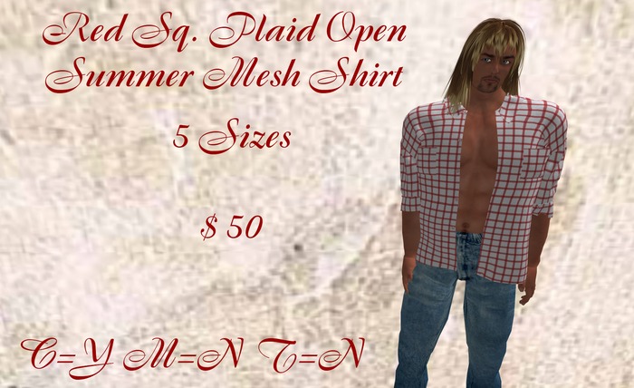 Man Shirt  Red Plaid Sq. Mesh     B