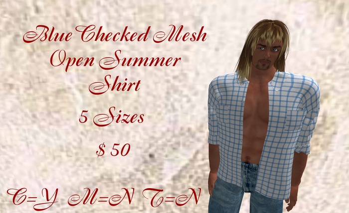 Man Shirt Blue Mesh   