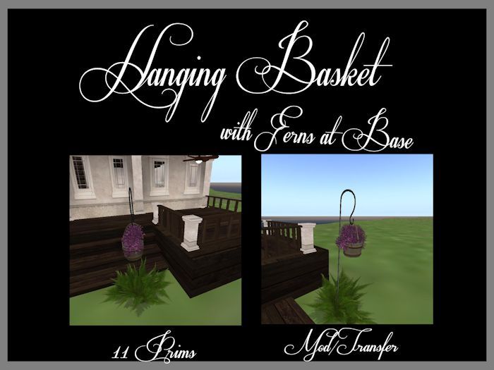 BB hanging Basket with fern Boxed