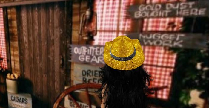 Mw cowboy hat Ladies Yellow sequins