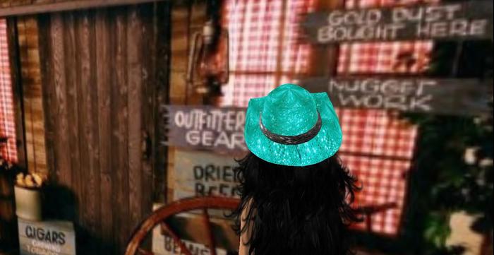Mw cowboy hat Ladies Aqua sequins