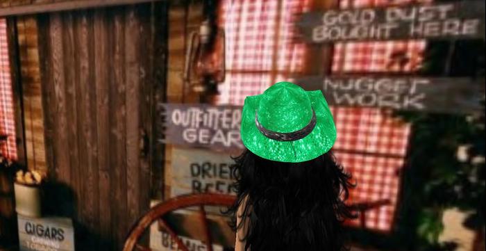 Mw cowboy hat Ladies Light green sequins