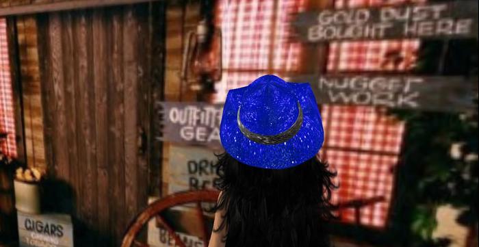 Mw cowboy hat Ladies Blue sequins