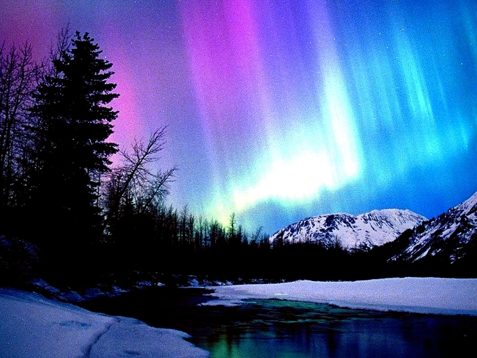 32.00, 16.00, 0.25 Portage Alaska Aurora Privacy Screen