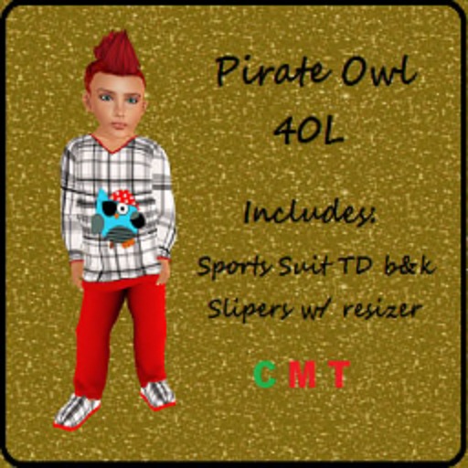 Pirate Owl Outfit