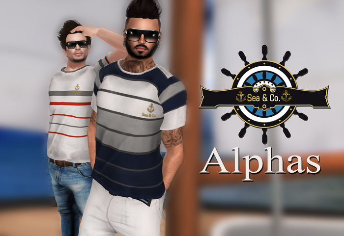 [S&C] Sea & Co. -Sweater e Shirt  Alphas