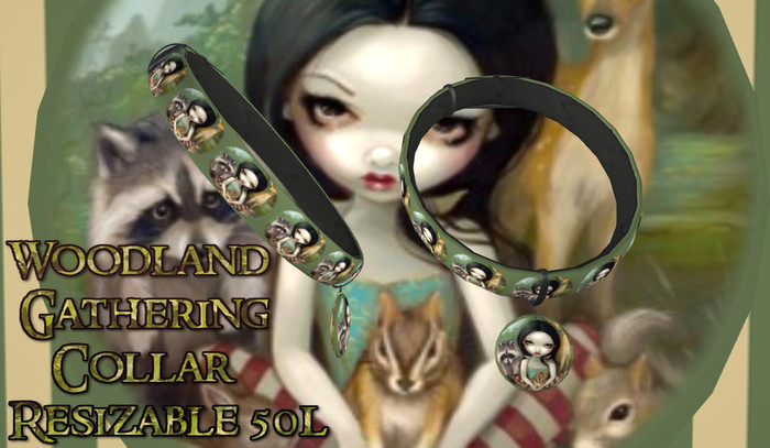 Woodland Gathering Collar By Dog Paws (BOXED)