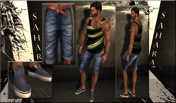 ~*DS*~ Male Sunny OutFit / Mesh