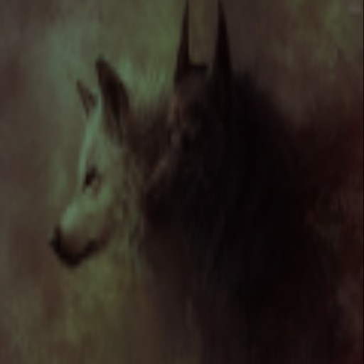 wolfs texture