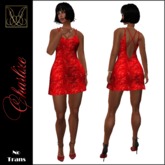 JCD Charlize Red Mesh Mini Dress